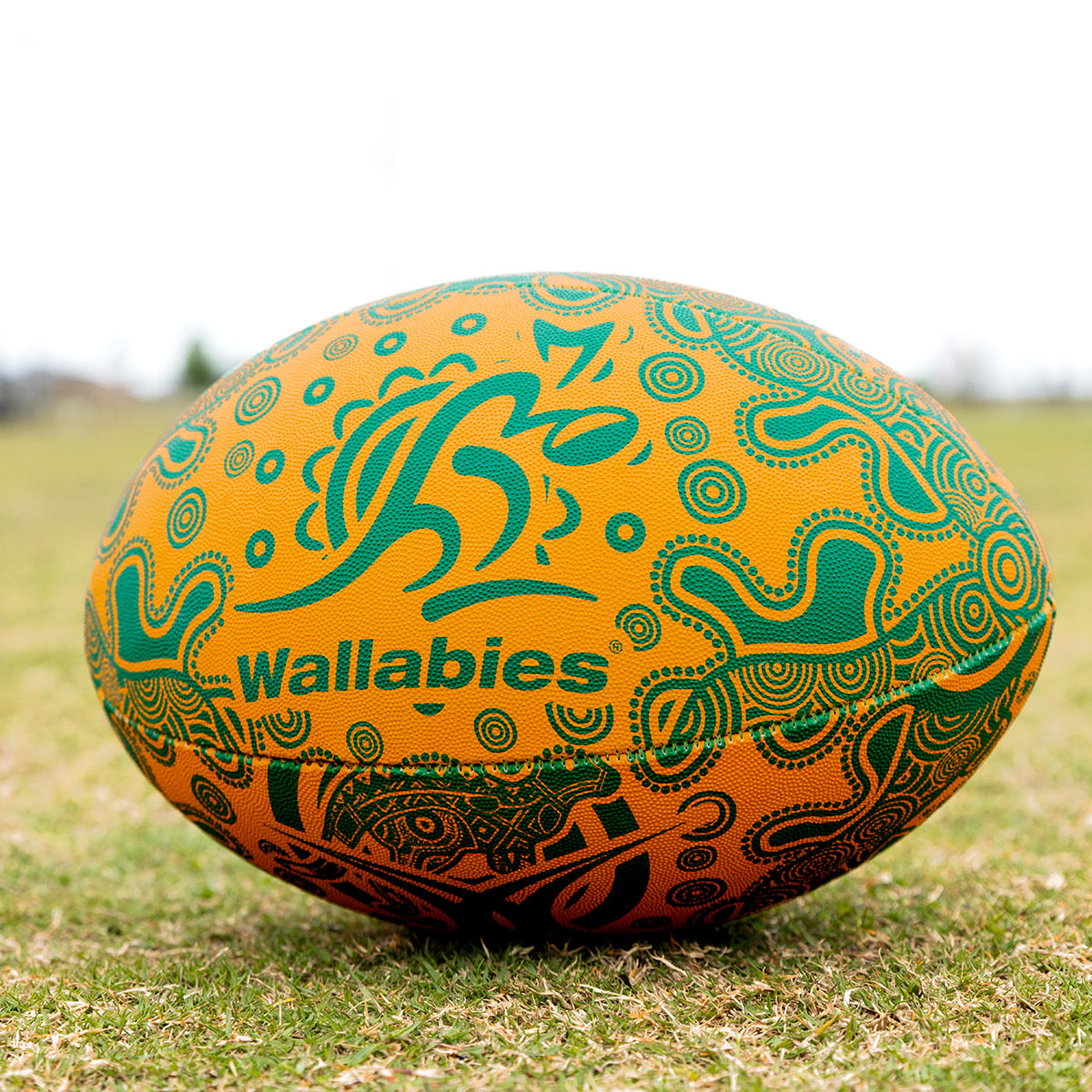 Wallabies First Nations Supporter