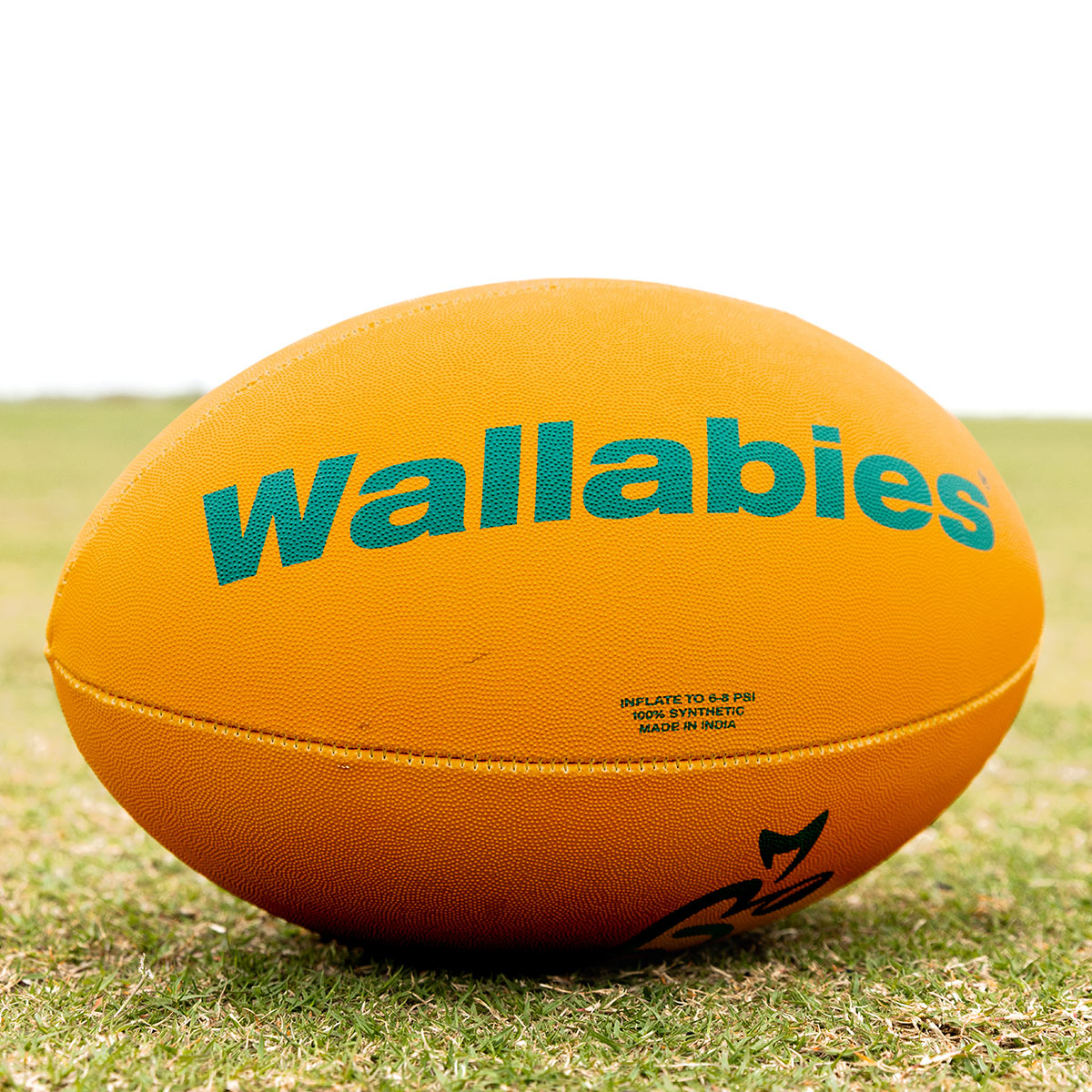 Wallabies Supporter
