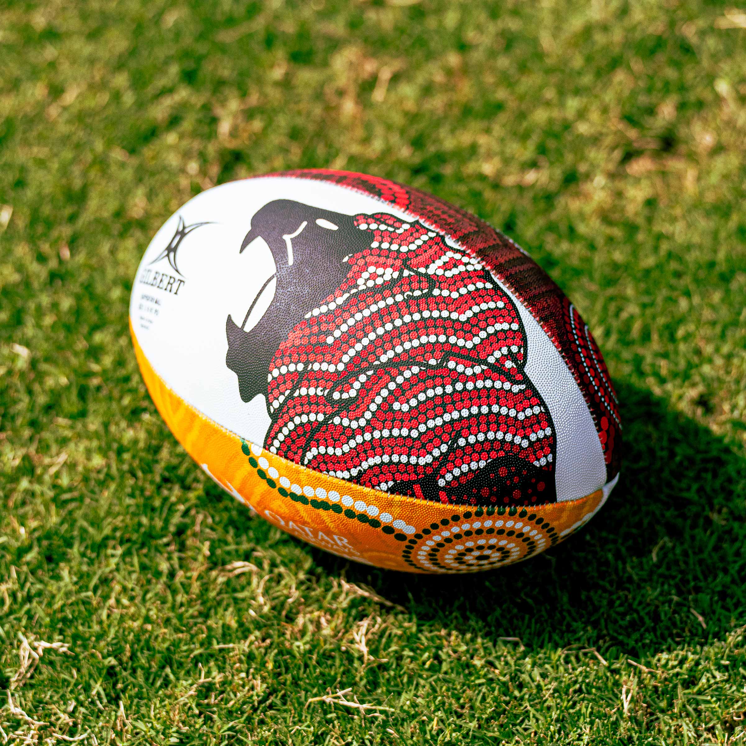 Lions Tour Supporter Ball
