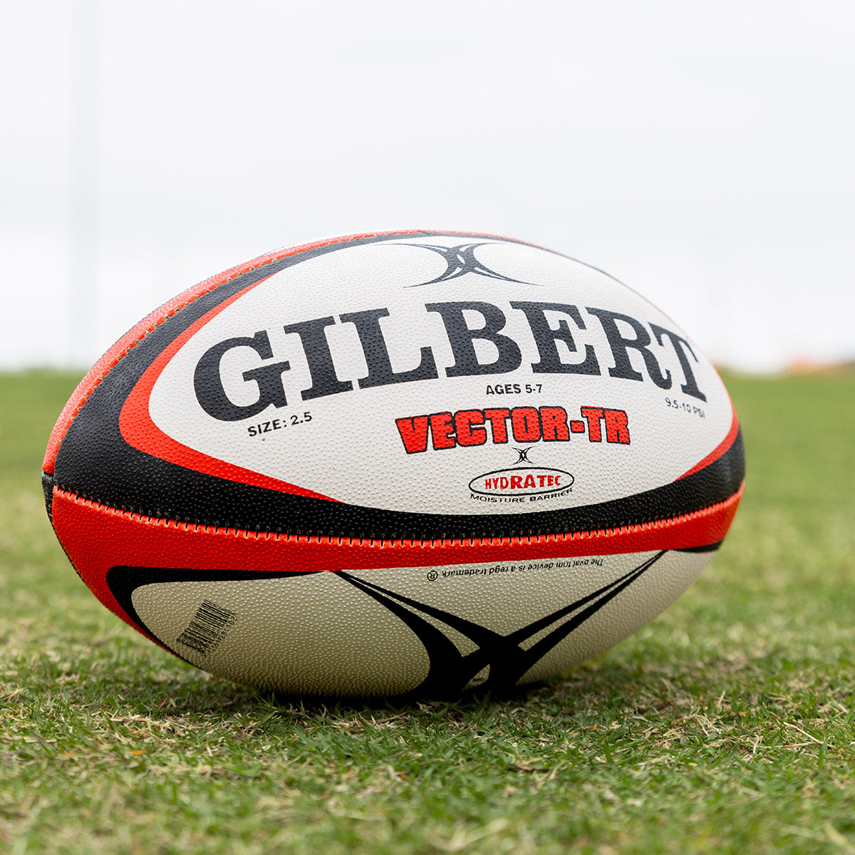 Training Ball Bulk Pack